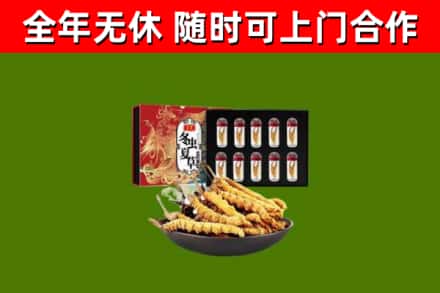 定安烟酒回收冬虫夏草礼盒.jpg